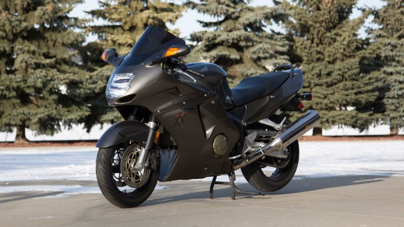 Honda CBR 1100 super Blackbird