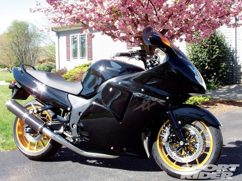 Honda Blackbird 1100xx