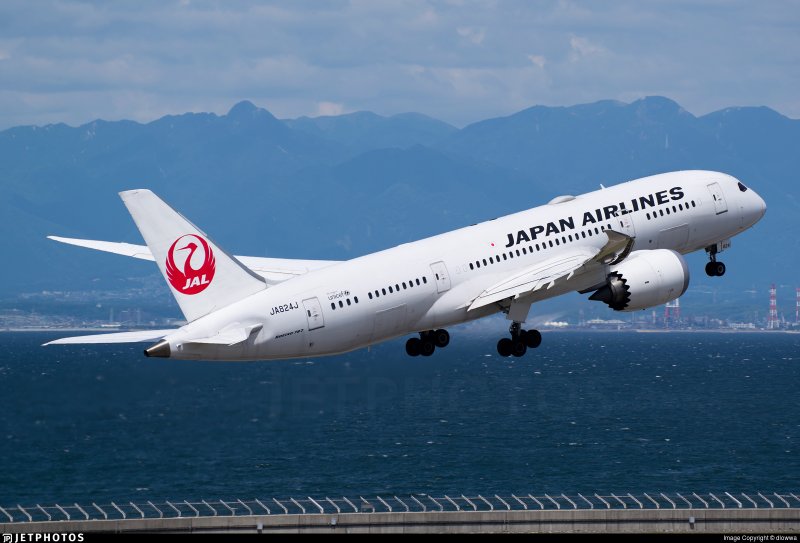 Самолет Japan Airlines
