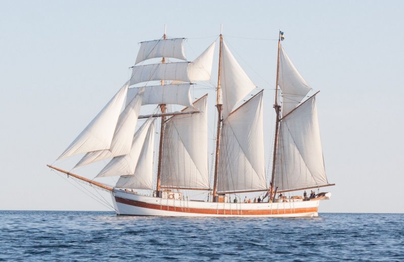 Barcos