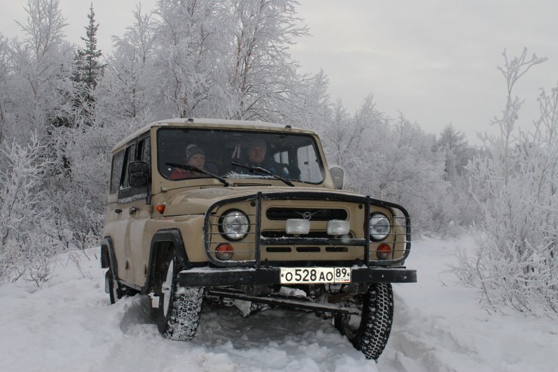 УАЗ 31519 2004
