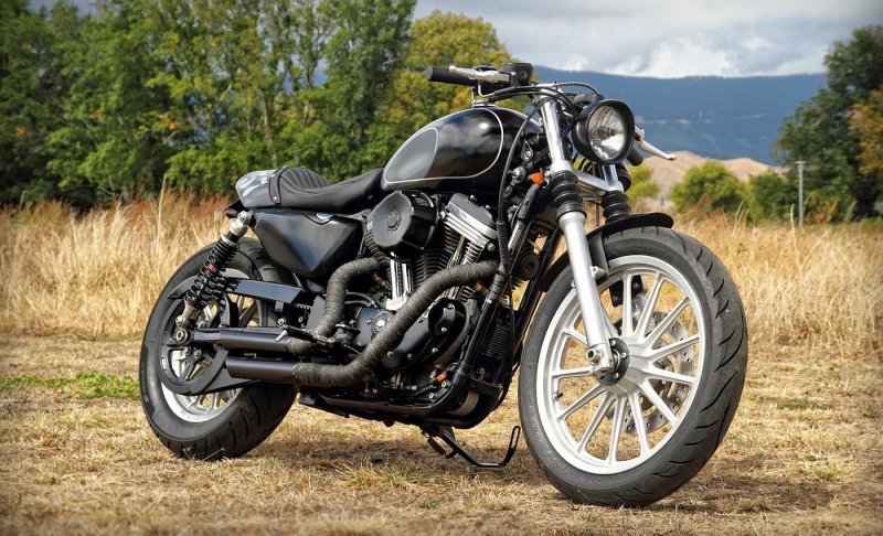 Мотоциклы типа Sportster