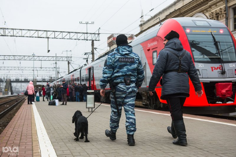 Транспортная полиция