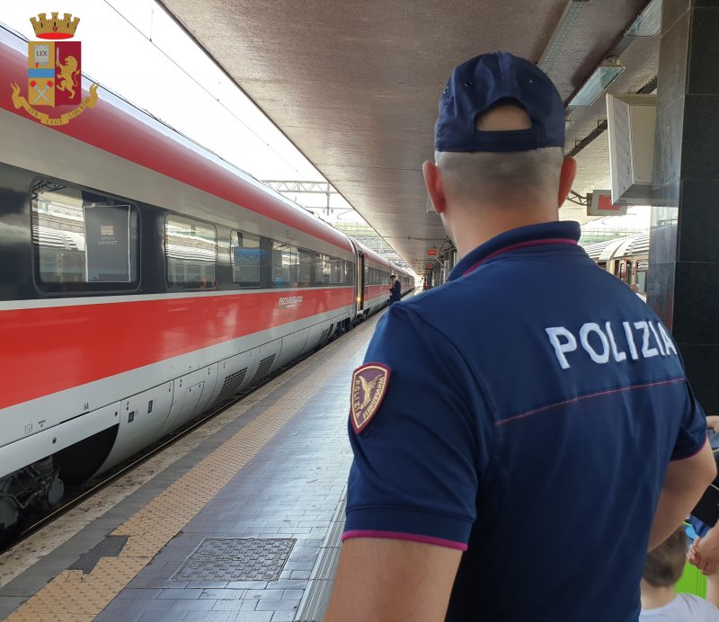 Полиция в поезде