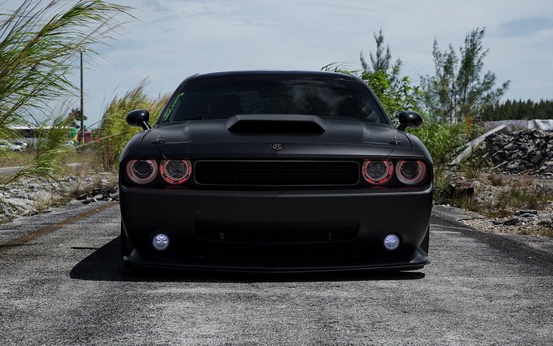 Dodge Challenger srt8 матовый