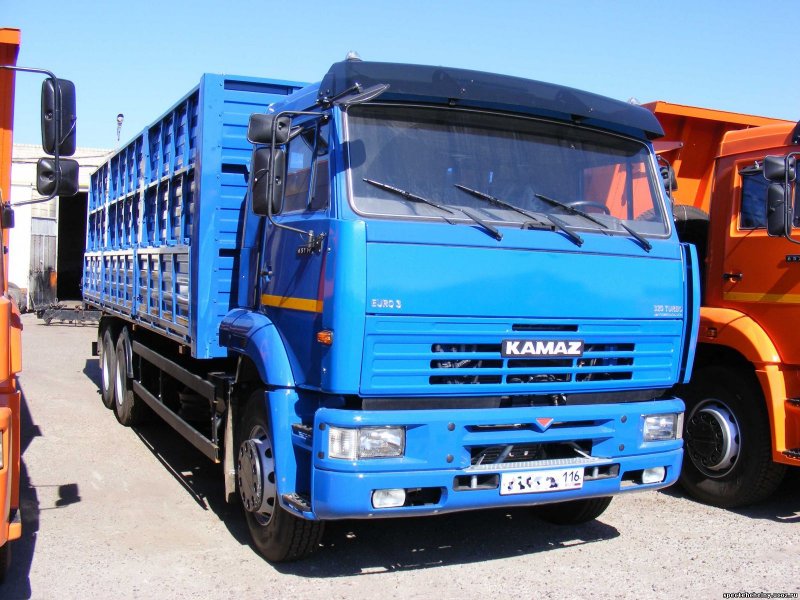 КАМАЗ 65117-6010-50
