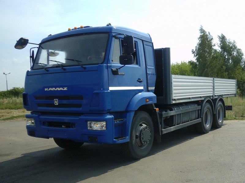 КАМАЗ 65117-6010-48
