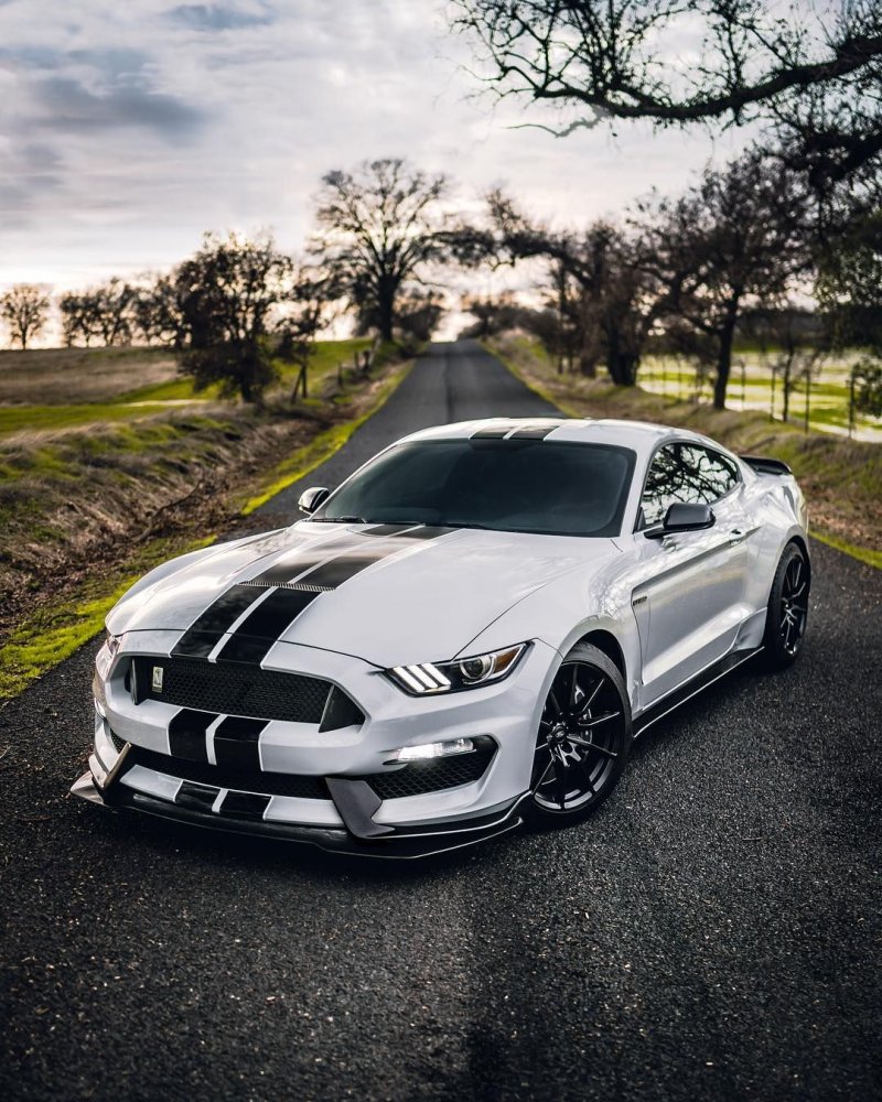 Ford Shelby gt350