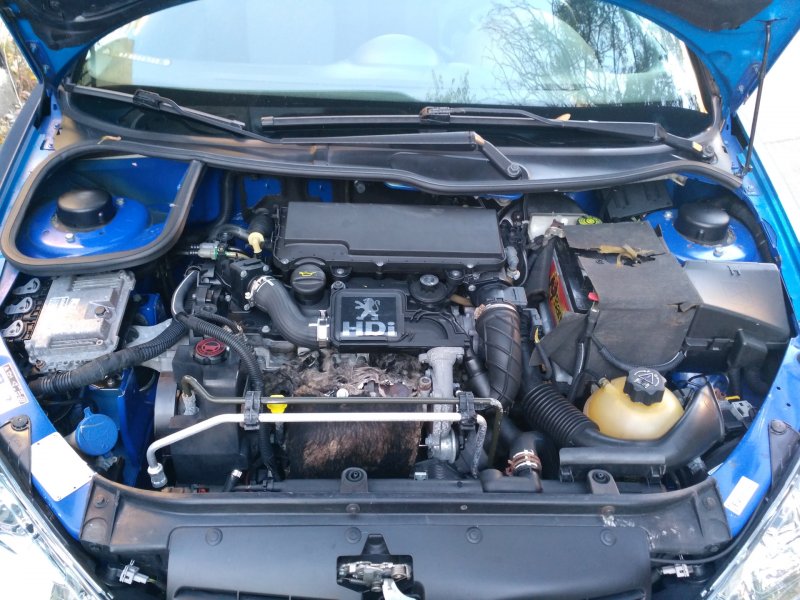 Подкапотка Peugeot 206