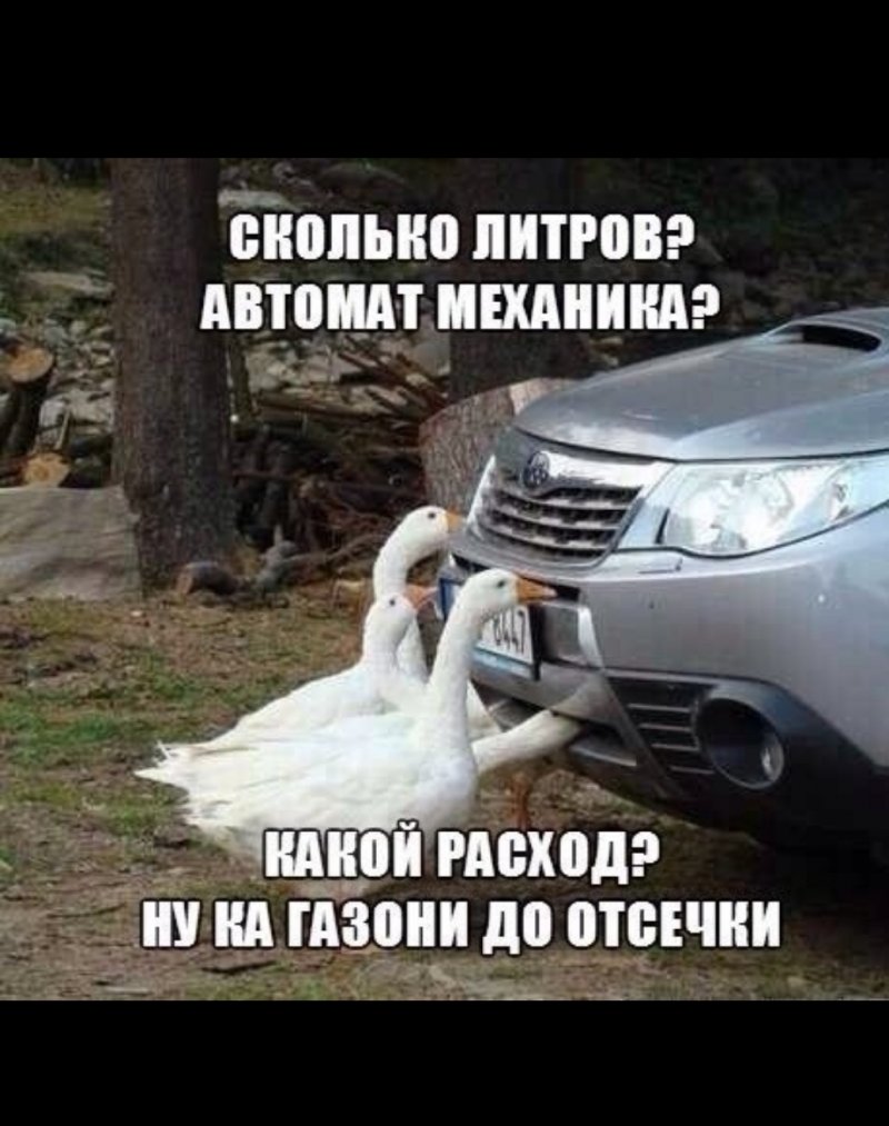 Авто юмор