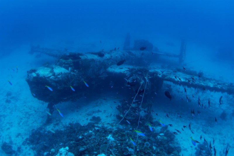 Саргассово море Бермудский треугольник