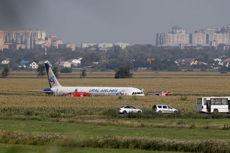 А321 кукурузное поле