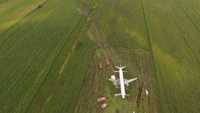 Airbus a321 севший в кукурузном поле