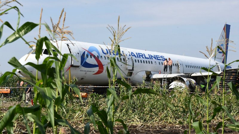 Аэробус а321 посадка на кукурузное поле