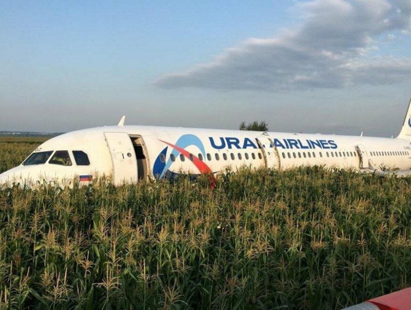 Аэробус а321 посадка на кукурузное поле