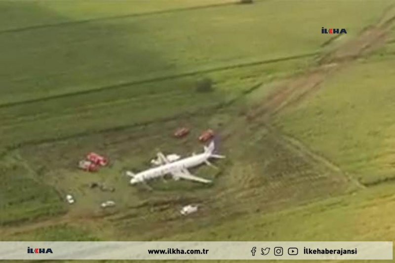 На кукурузном поле Airbus a321