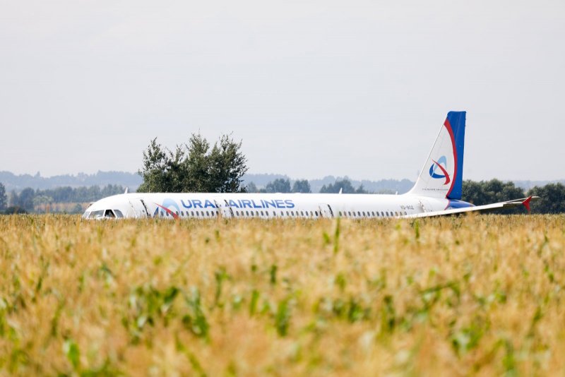 На кукурузном поле Airbus a321