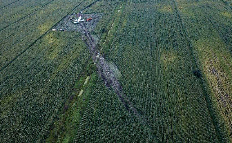 Самолет а321 в кукурузном поле