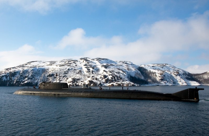 Oscar II orel