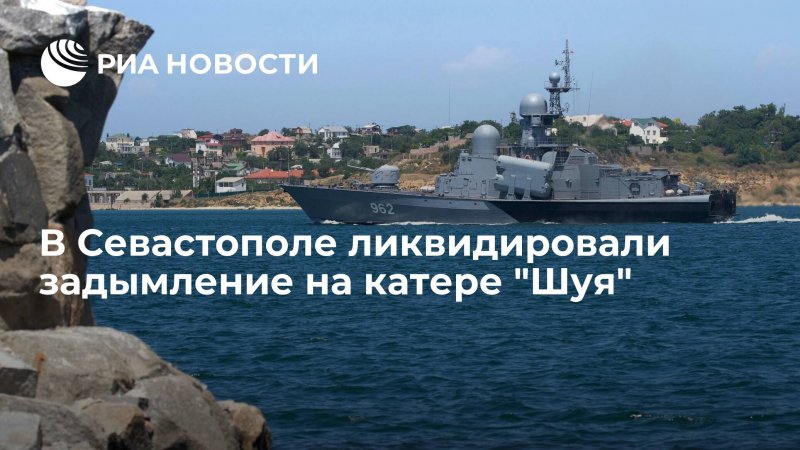 Шуя Севастополь