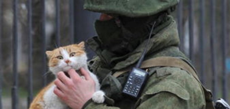 6 5 Грендель ар