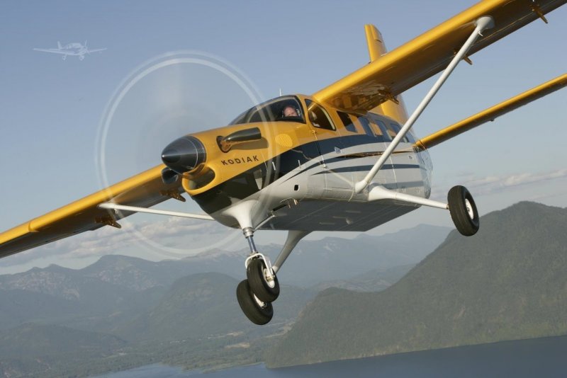 Quest Kodiak 100 чертежи