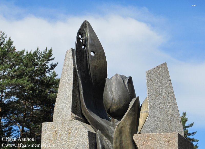 Черный тюльпан Хабаровск площадь славы
