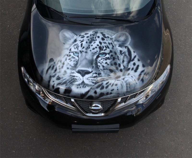Винилография Murano Nissan z51