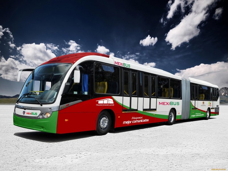 Машины автобусы