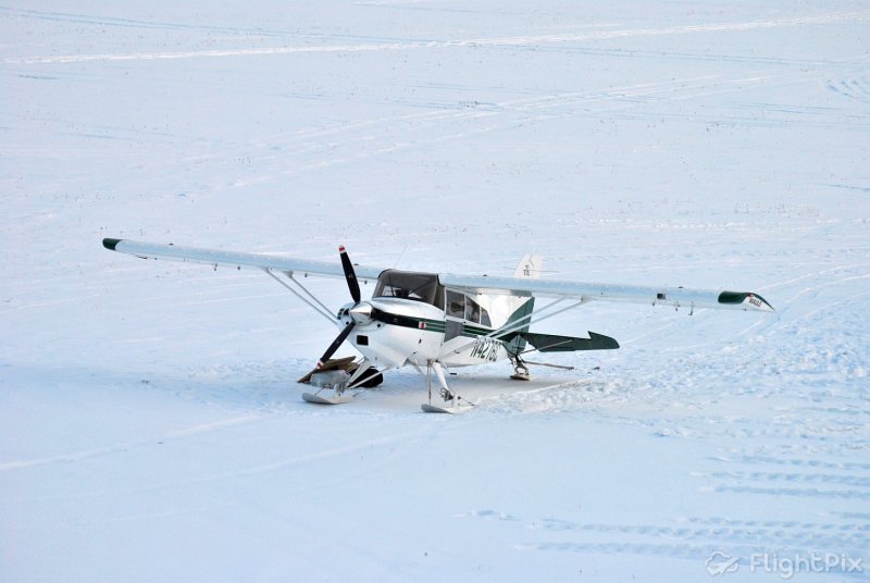 Maule mx7 420