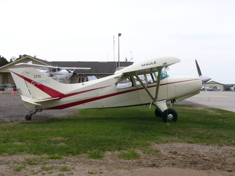 Maule mx7 2021