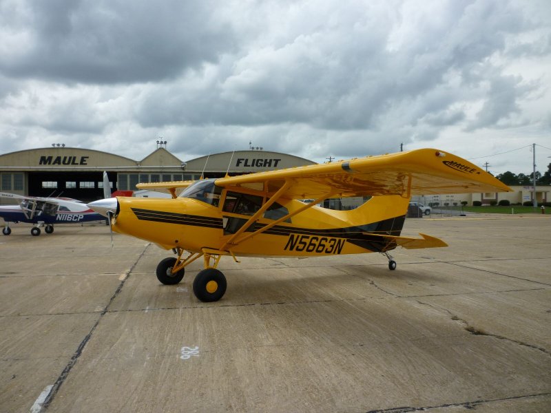Maule m-9