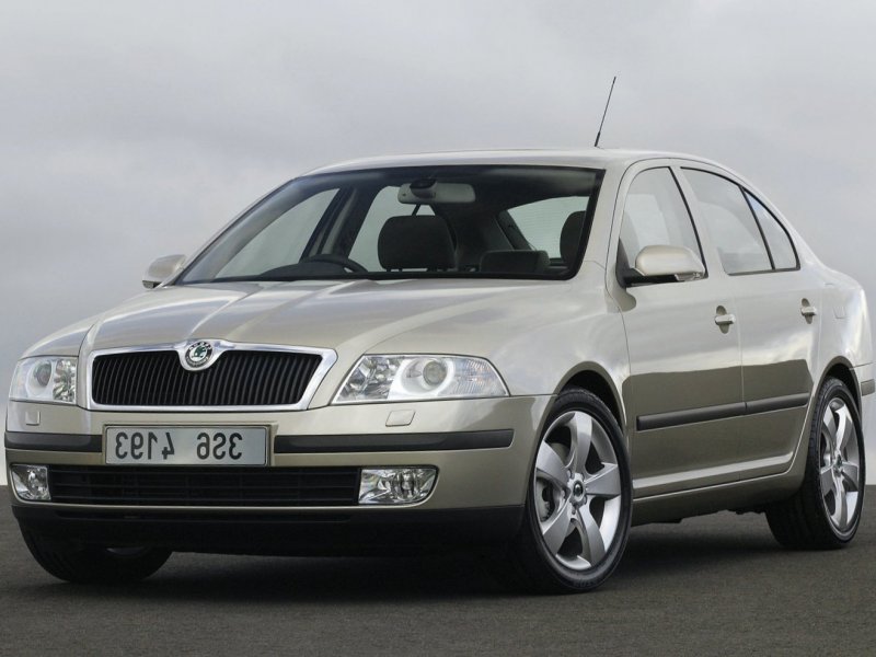 Skoda Octavia a5 дорестайлинг