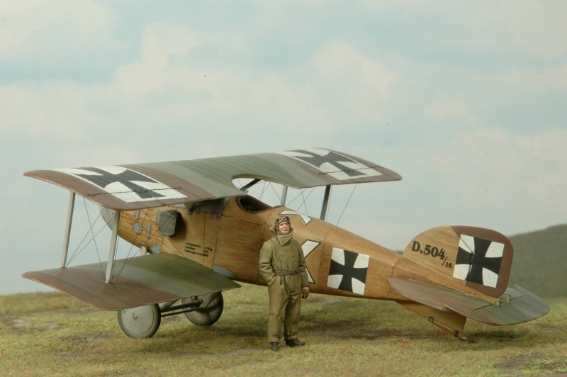 Albatros d II 1 48