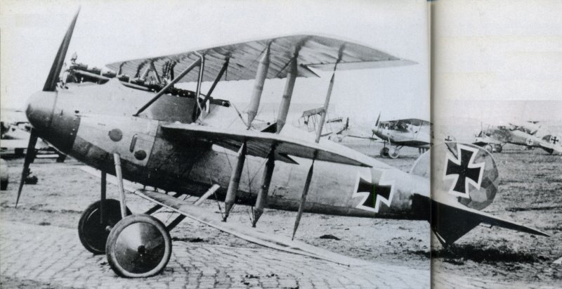 Albatros i Dr