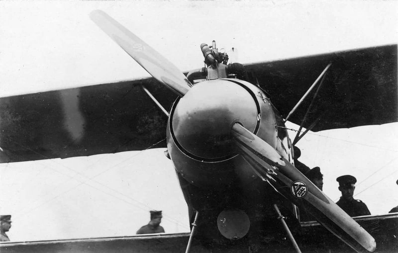 Jasta 25 Albatross Fieseler