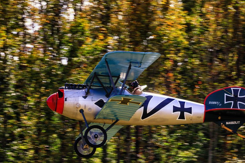 Albatros 800