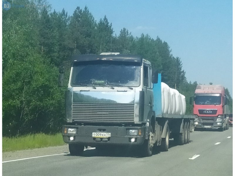 МАЗ 5432 с444ое62
