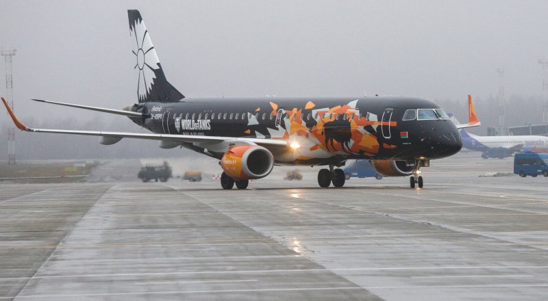 Belavia брендированный самолет