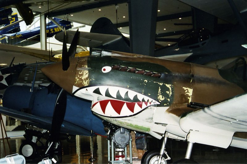 P40b улрхок