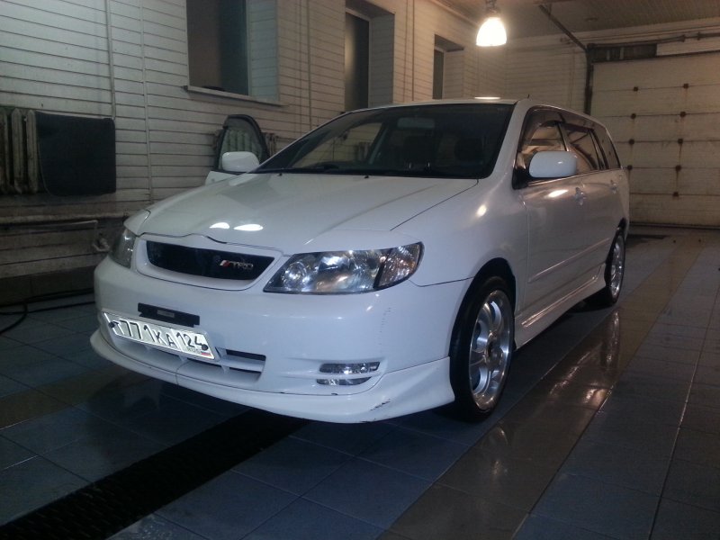Toyota Corolla Fielder реснички