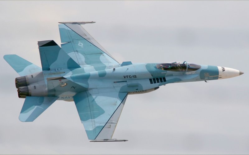 Шершень f/a-18 super Hornet