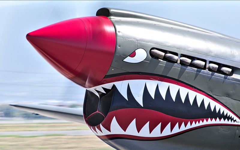 P-40 Tomahawk Art nose