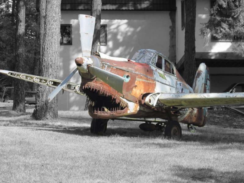 P-38 Lightning ливрея