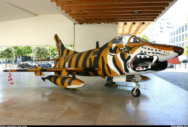 Fairchild Republic a-10 Thunderbolt II Shark