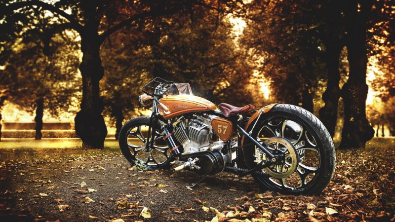 Harley Davidson мотоцикл осень
