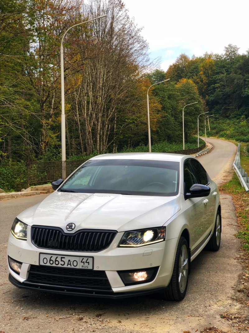 Шкода Октавия а7 2017 года