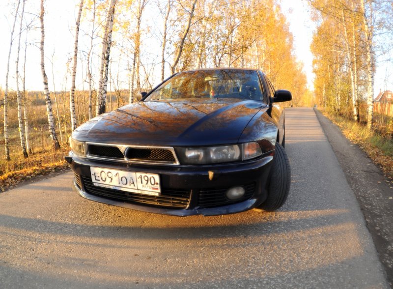 Галант акула