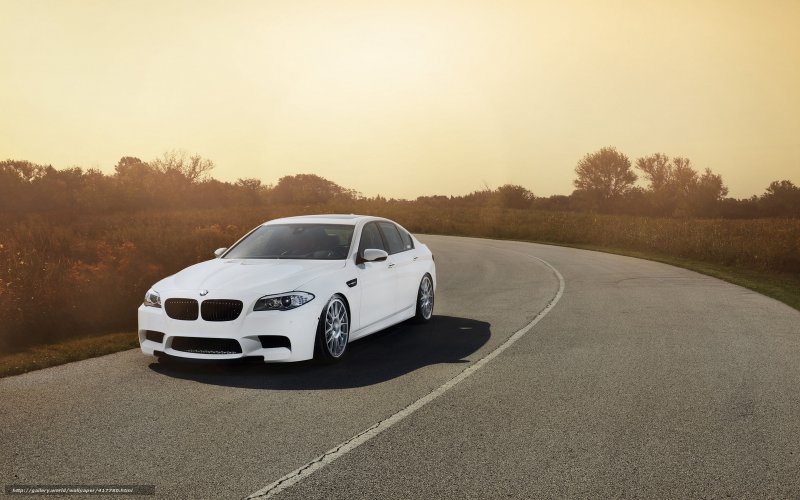 BMW f10 белая в лесу