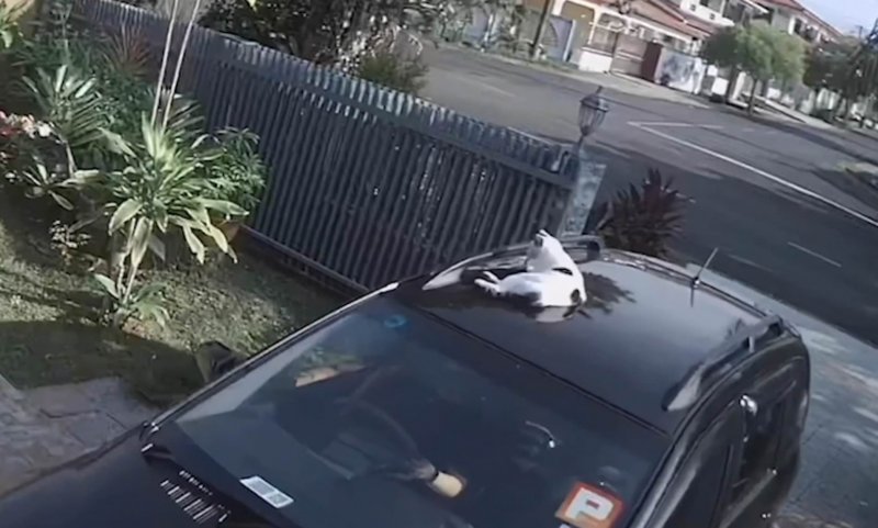 Снегоход на крыше авто